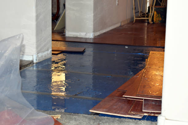 Professional Basement Water Removal technician working in Darien, CT