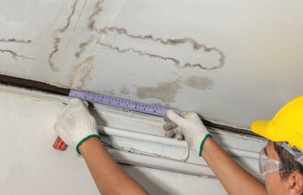 Reliable Basement Water Removal contractor in Darien, CT by Water Damage Irwin